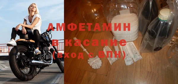 твердый Аркадак