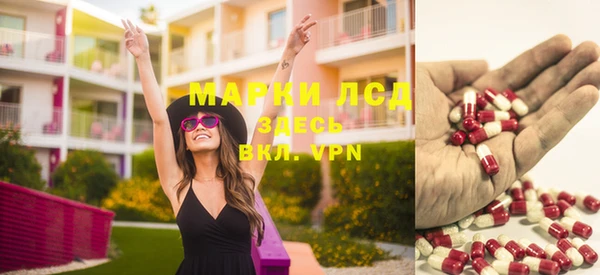 твердый Аркадак