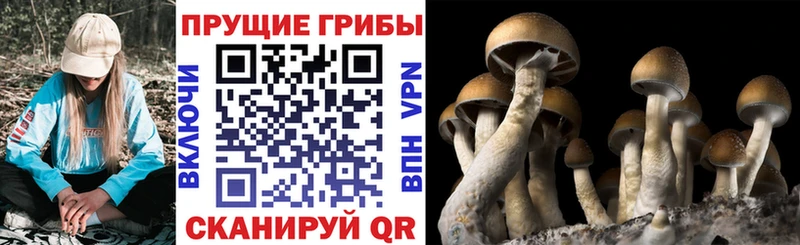 Галлюциногенные грибы мухоморы  Райчихинск 