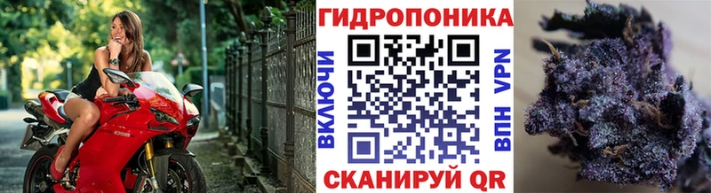 купить закладку Райчихинск ссылка на мегу tor Бошки марихуана MAZAR